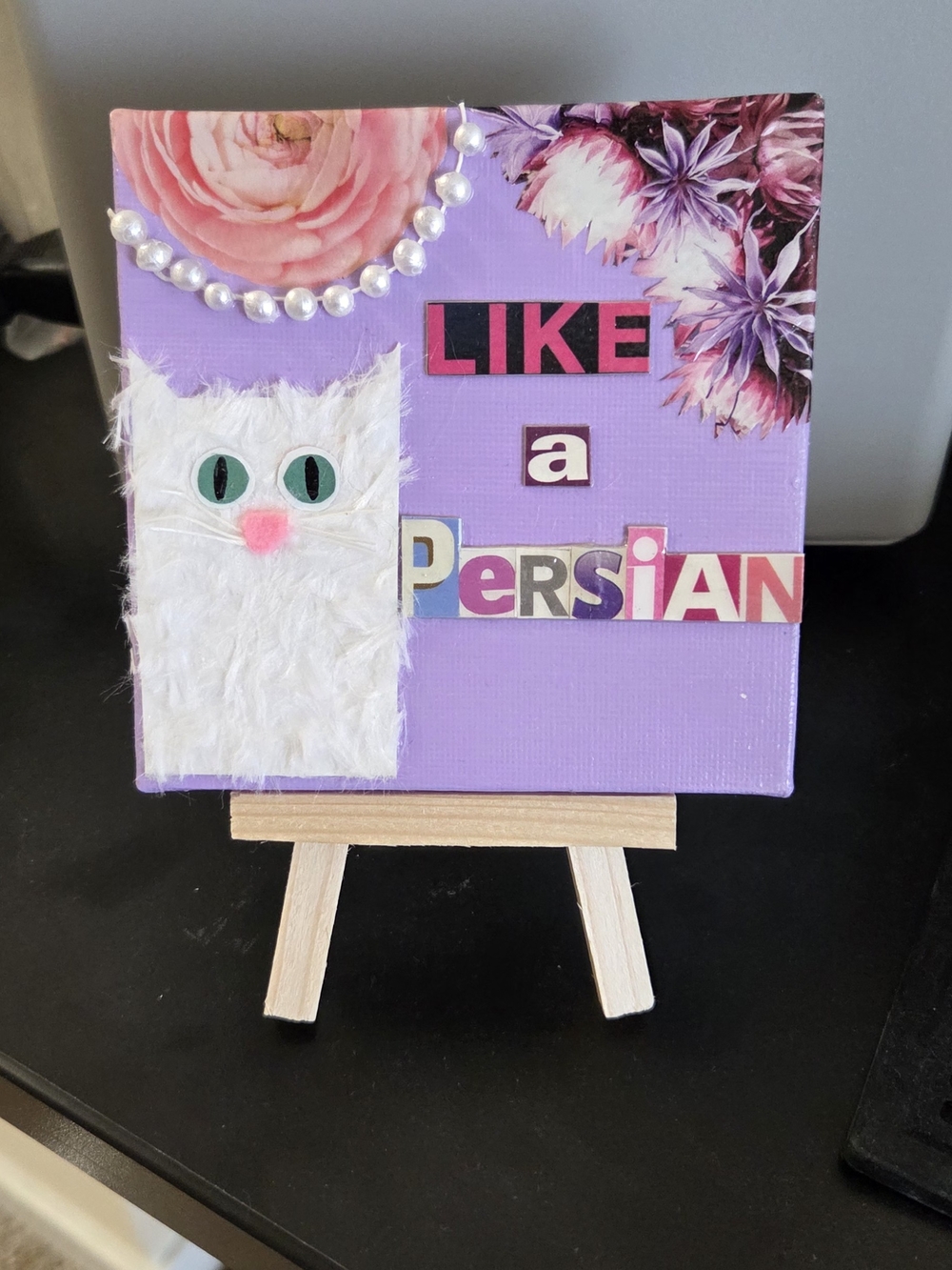 Like a Persian Fluffy Cat Canvas